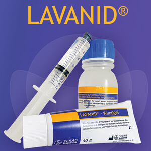 Lavanid
